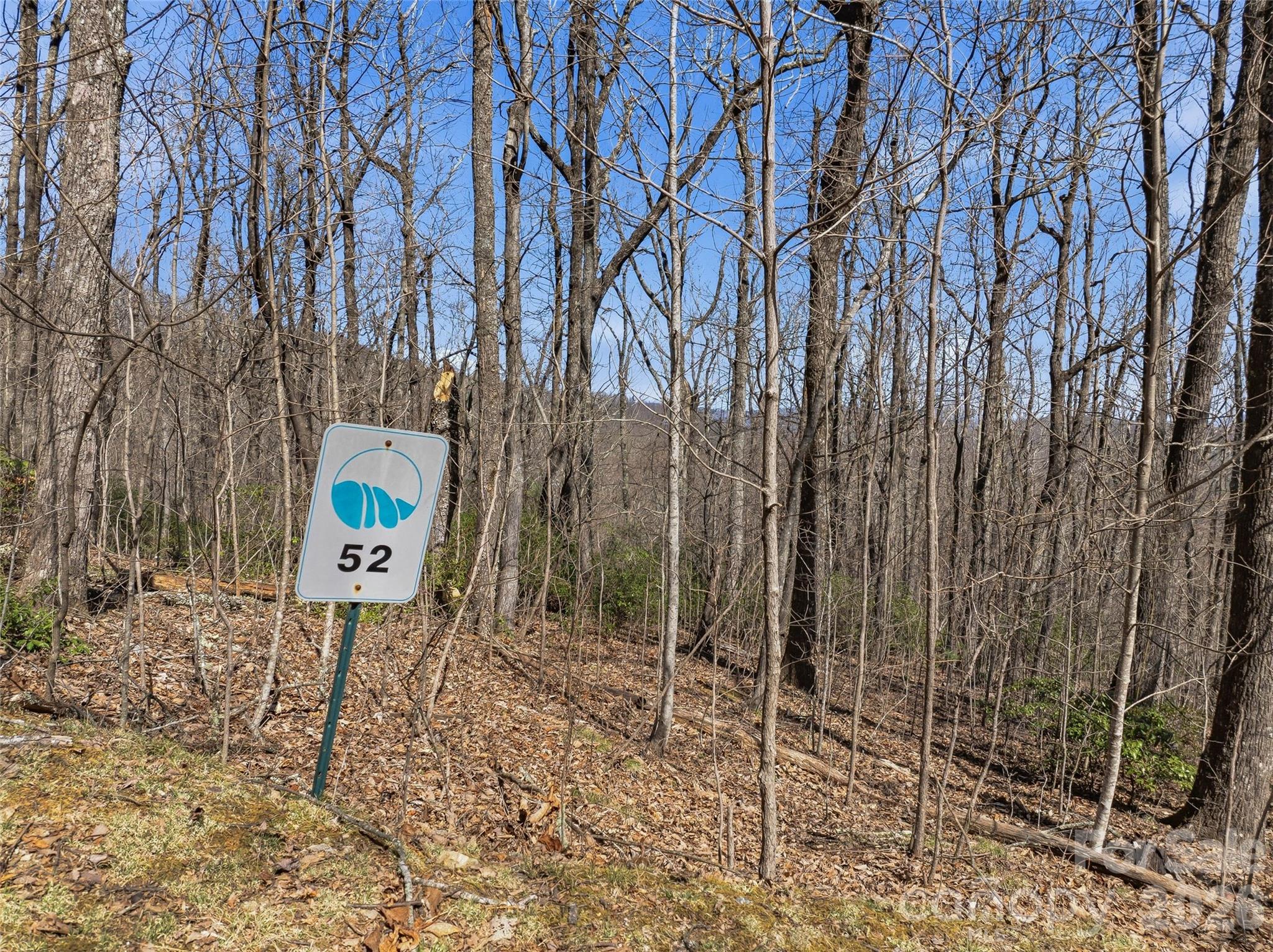 TBD Wild Magnolia Way 52