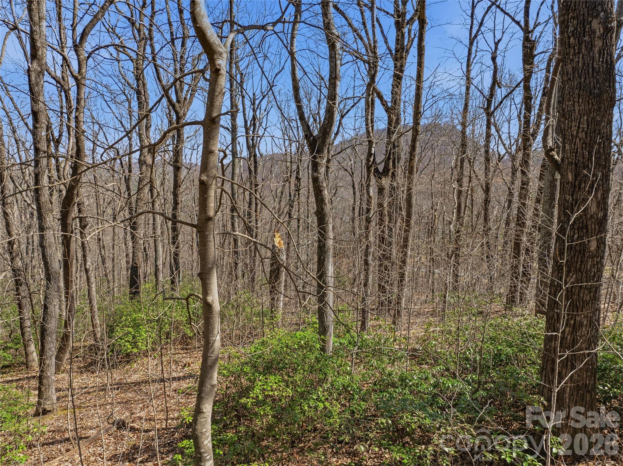 The Cliffs Valley - Land