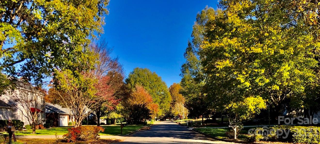 Milford Knoll - Residential