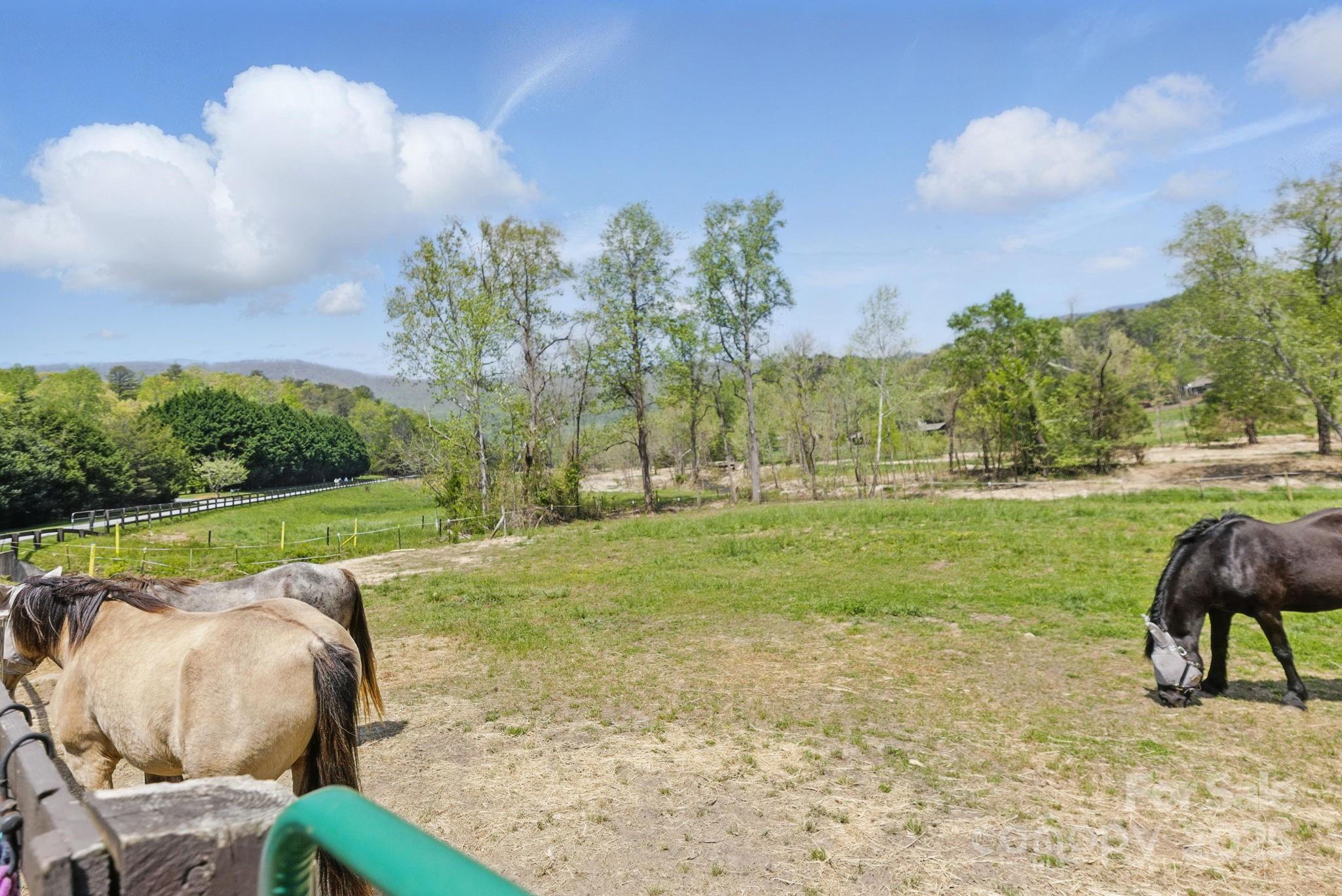 Lot 216 Cherry Hill Road 216