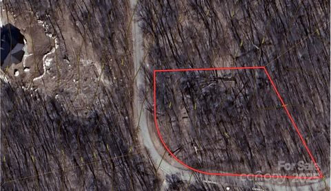 Lot 216 Cherry Hill Road 216 Mill Spring NC 28756