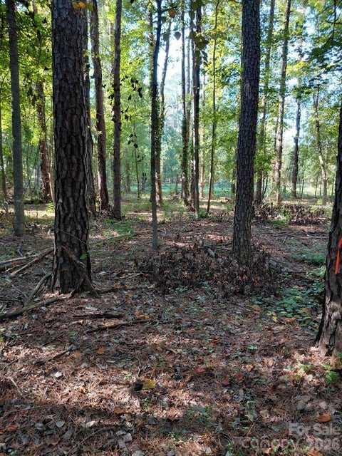 Photo of 000 NC Hwy 73 Highway, Huntersville, NC 28078 (MLS # 4434150)