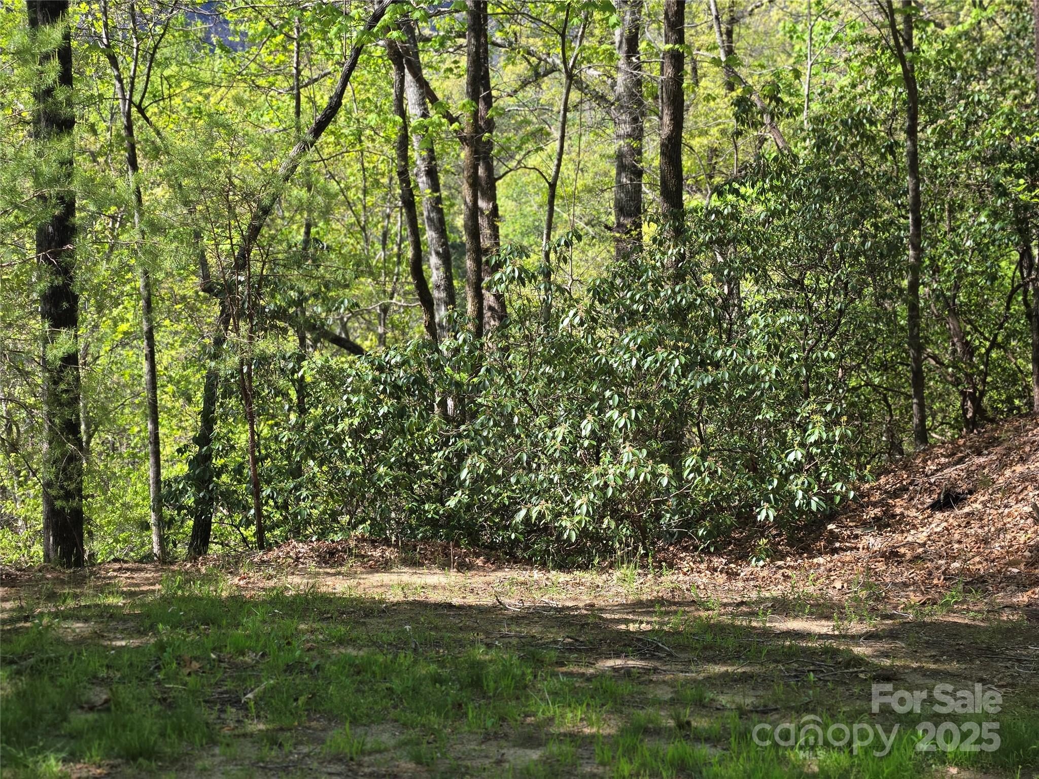 Rumbling Bald on Lake Lure - Land