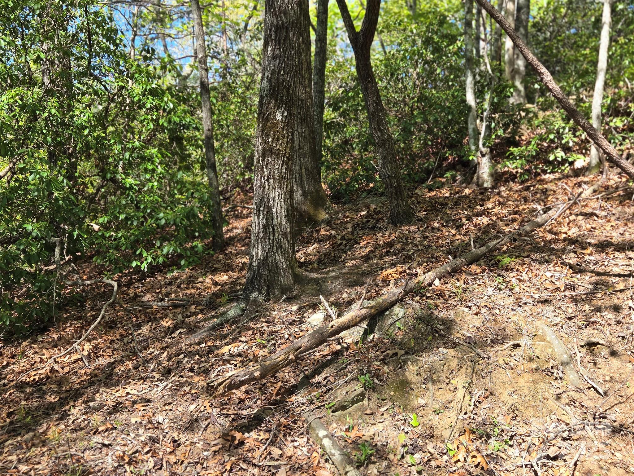 Rumbling Bald on Lake Lure - Land