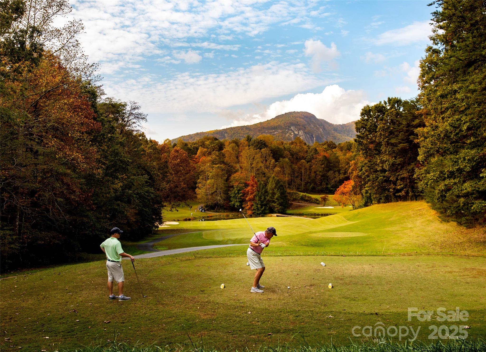 Rumbling Bald on Lake Lure - Land