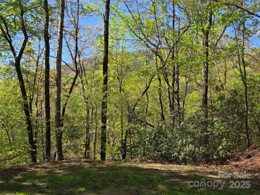 Remarkable 1.14 acre+- lot with privacy, Bald Mountain views, and approximately 275 feet of bold stream frontage.  The stream sits on the lower section of the property, but the sounds of the stream can be heard from the likely building site.  Two lots that will be combined and surveyed prior to closing by the seller and will have only one POA dues.  The sloping lot lends itself to a home with walk out basement and the possibility of beautiful views.  Underground utilities include High-Speed Fiber Optic Internet, Power, and Community water. Enjoy all the amenities Rumbling Bald has to offer including two Championship Golf Courses, three pools, Wellness Center, Spa and Salon, Beach, and much, much, more.