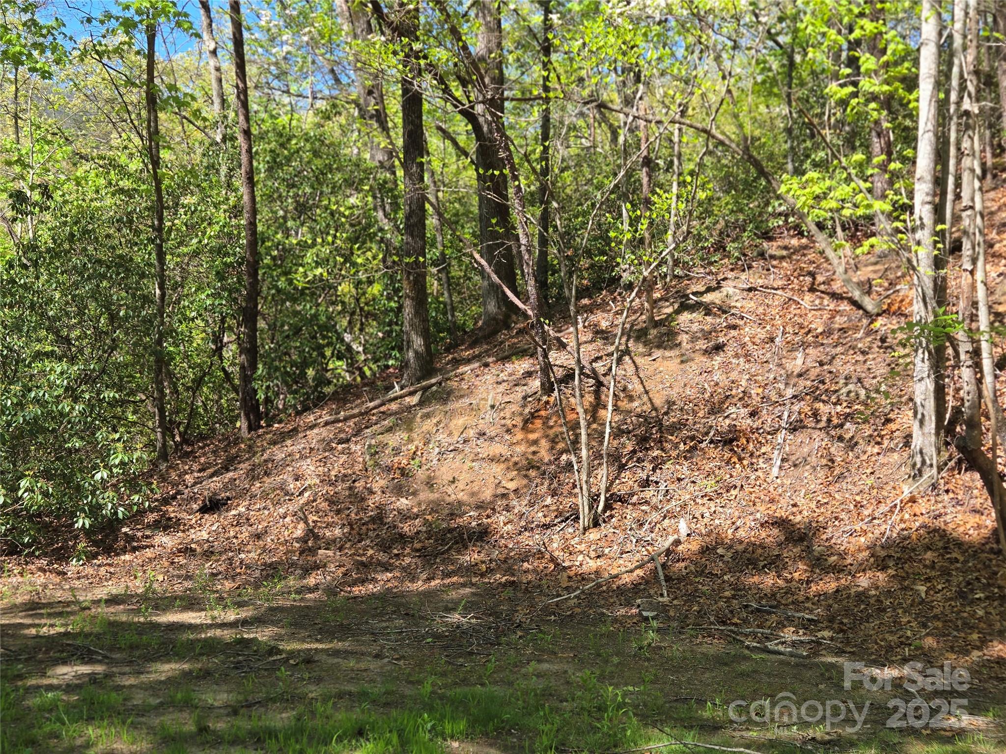 Rumbling Bald on Lake Lure - Land