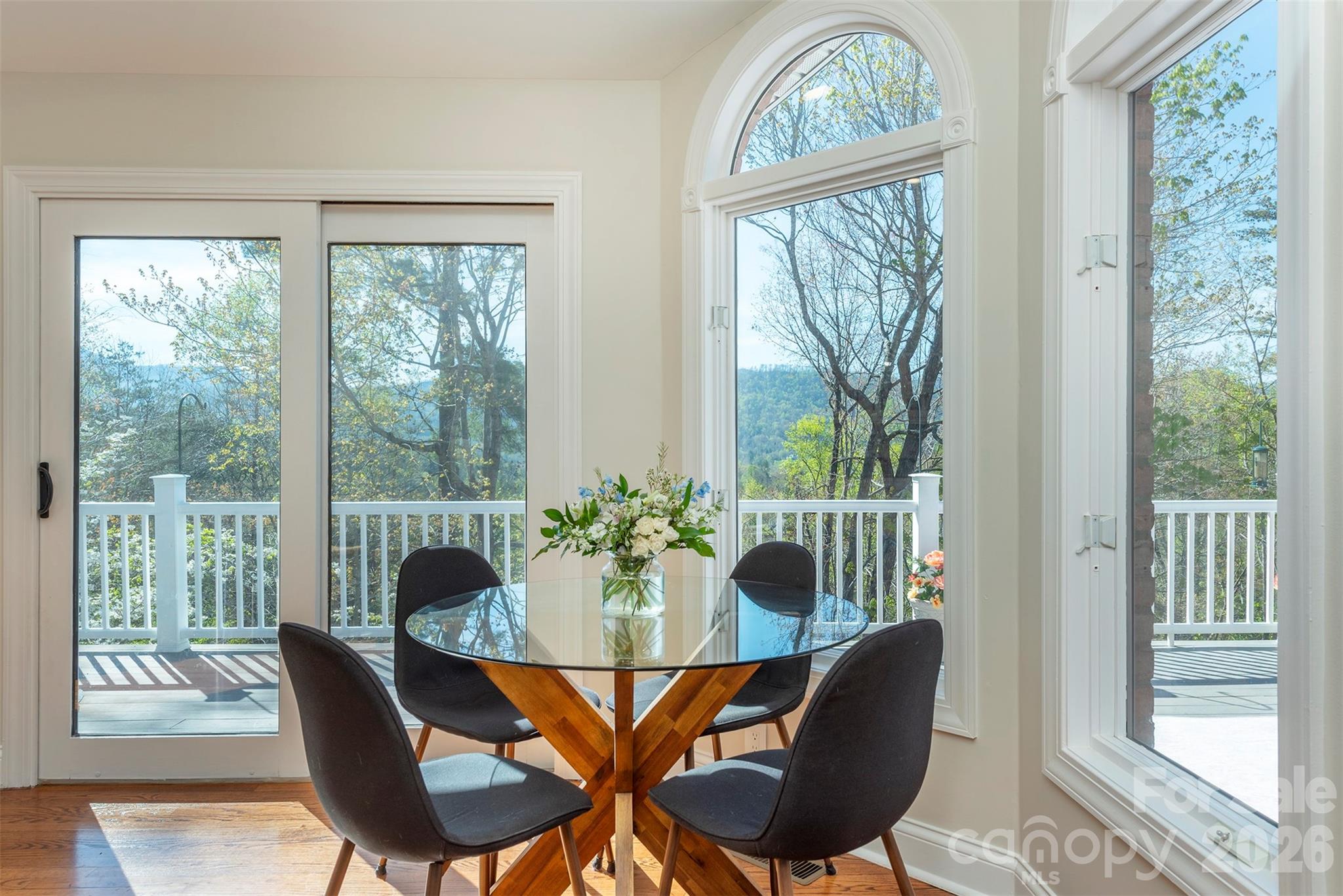 Reems Creek Comm and Golf Club - Residential