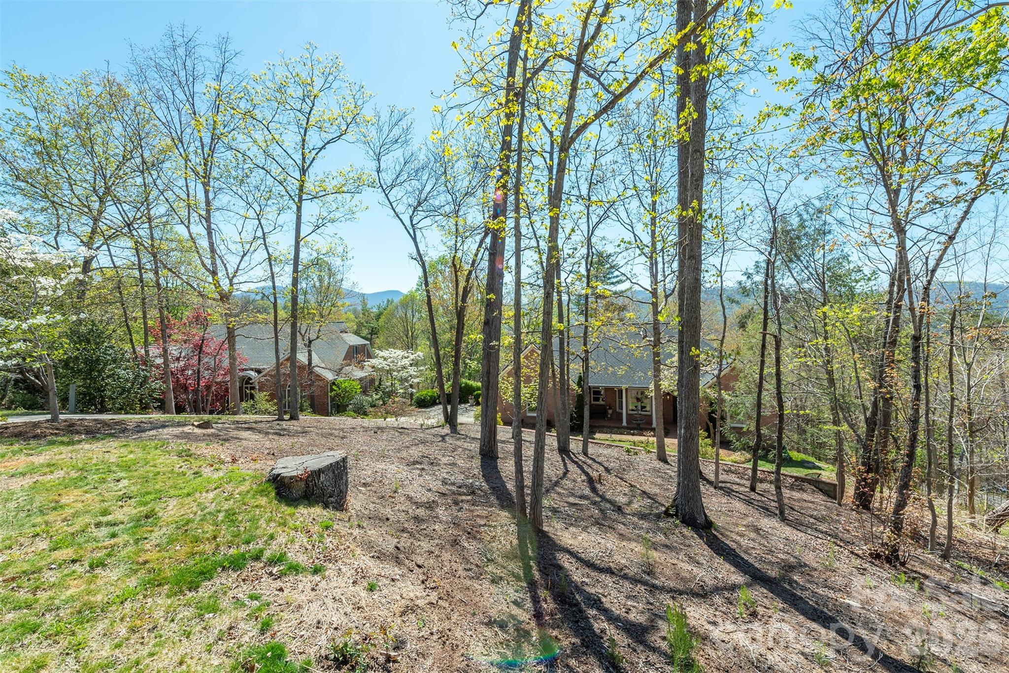 Reems Creek Comm and Golf Club - Residential