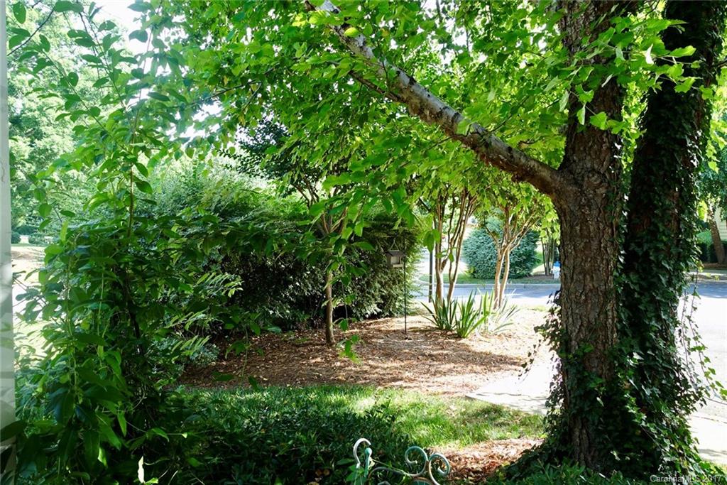 Regent Park - Residential