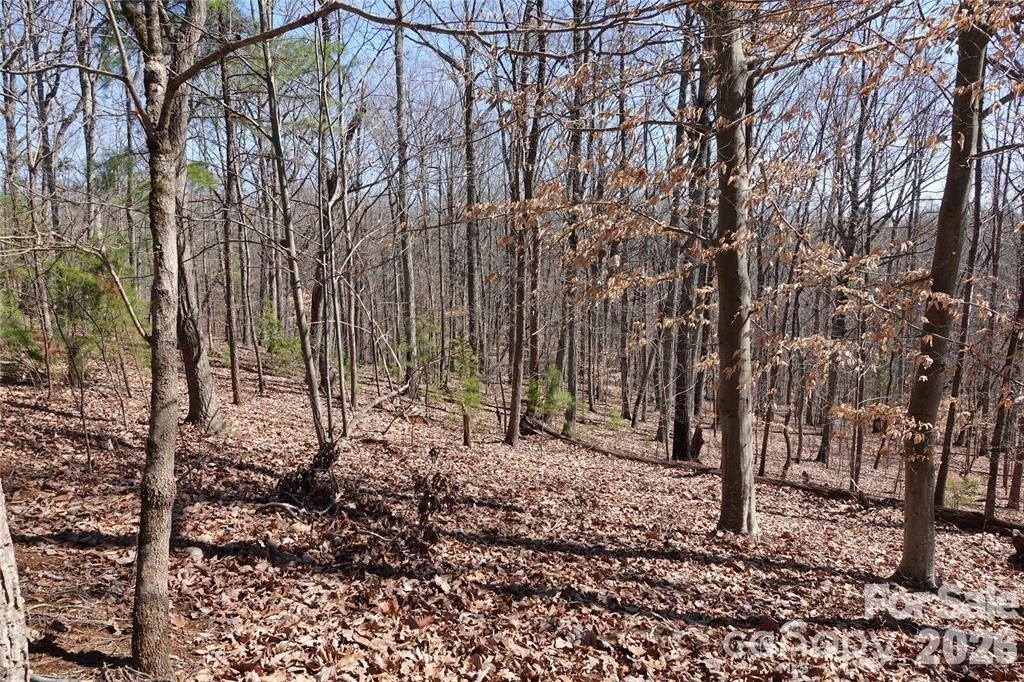 14427 Roe Buck Meadow Lane