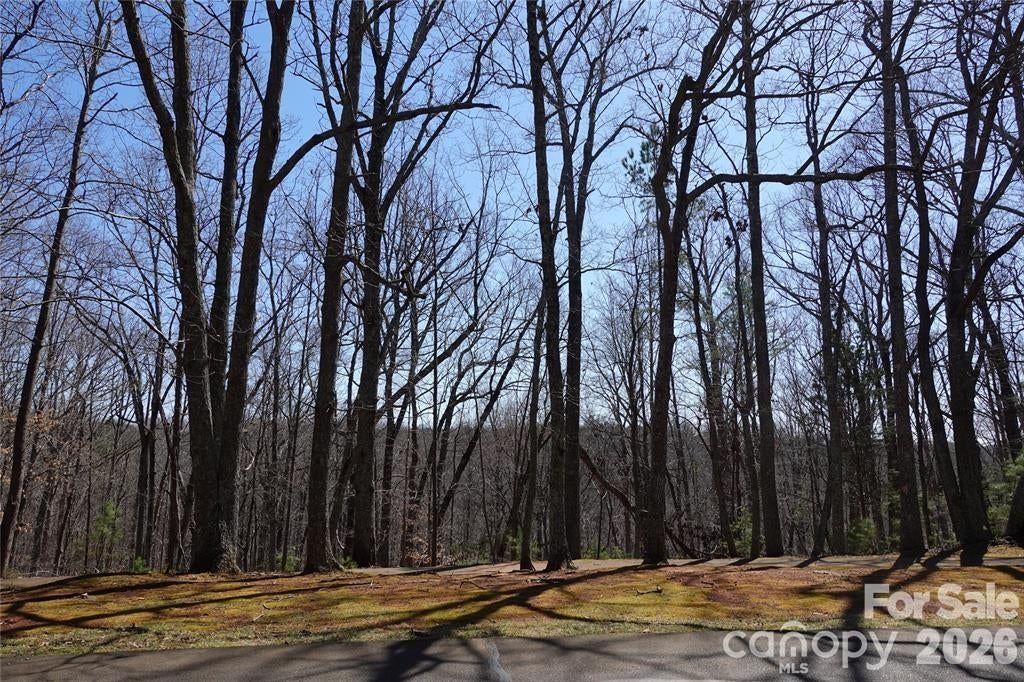 14427 Roe Buck Meadow Lane