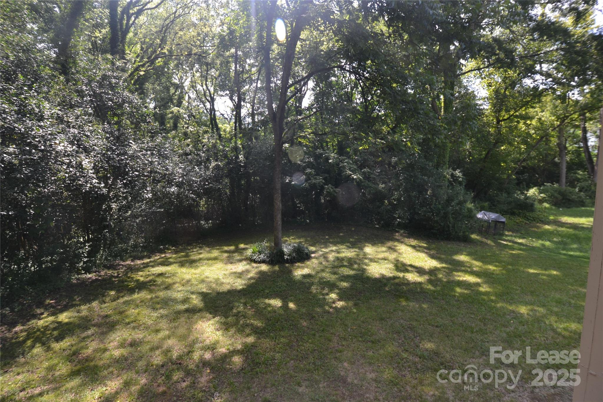 None - Residential Lease