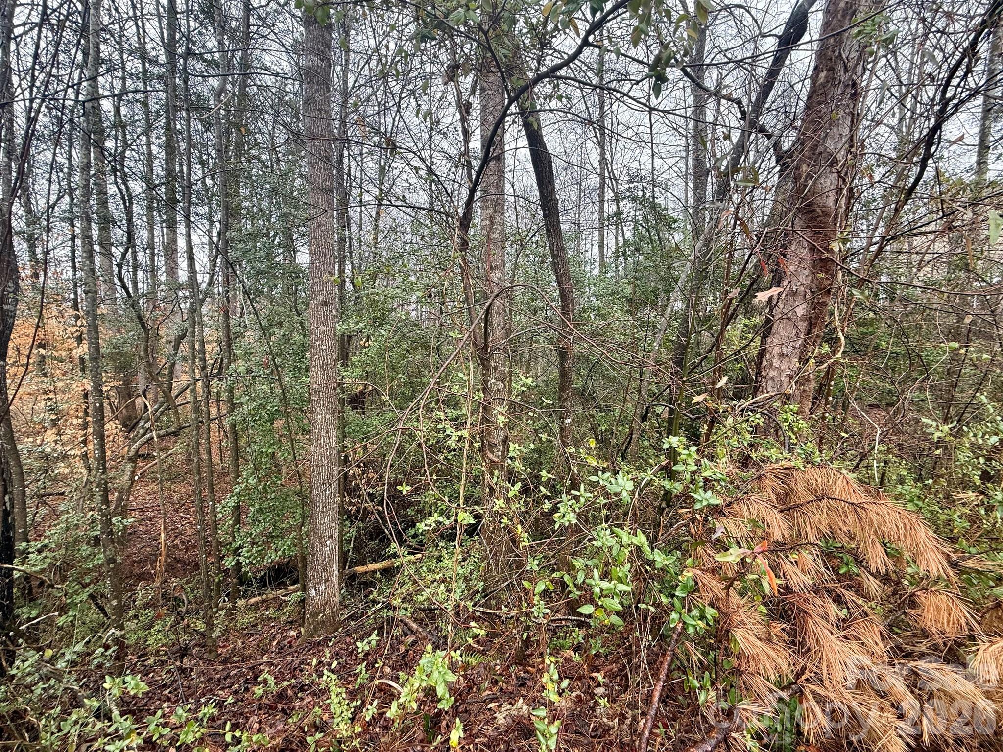 Catawba Springs - Land