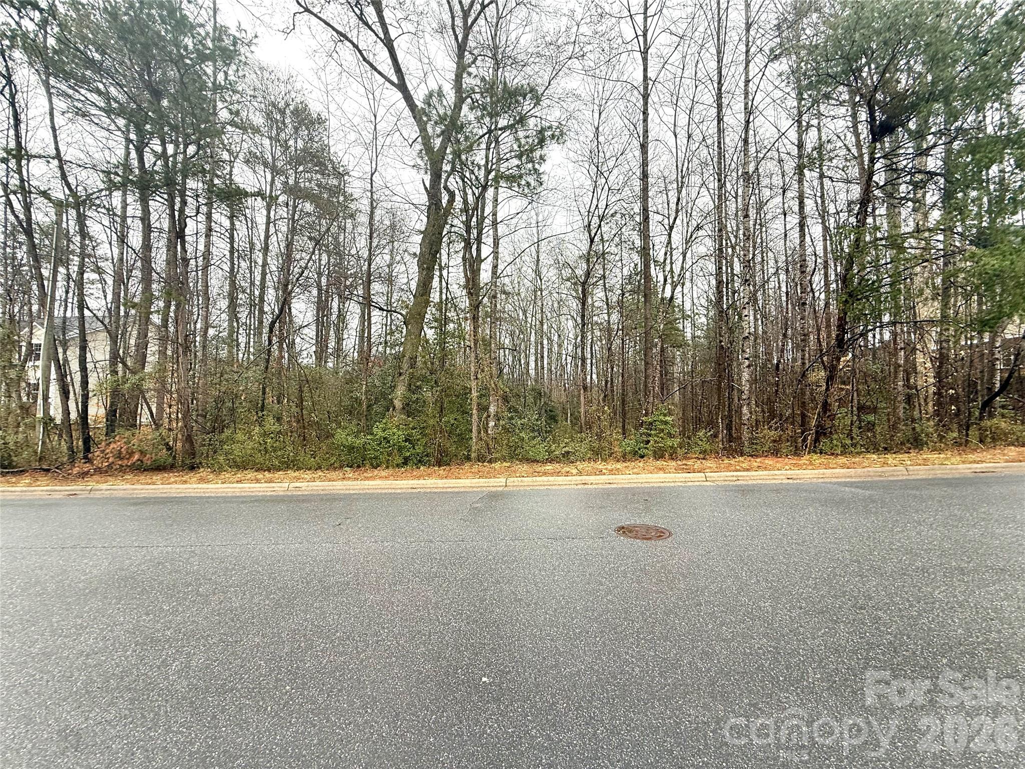 Catawba Springs - Land