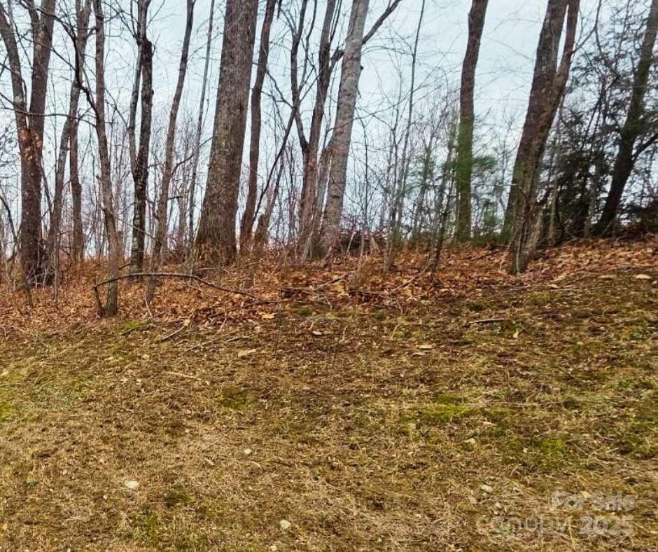 Mountain Brook Estates - Land