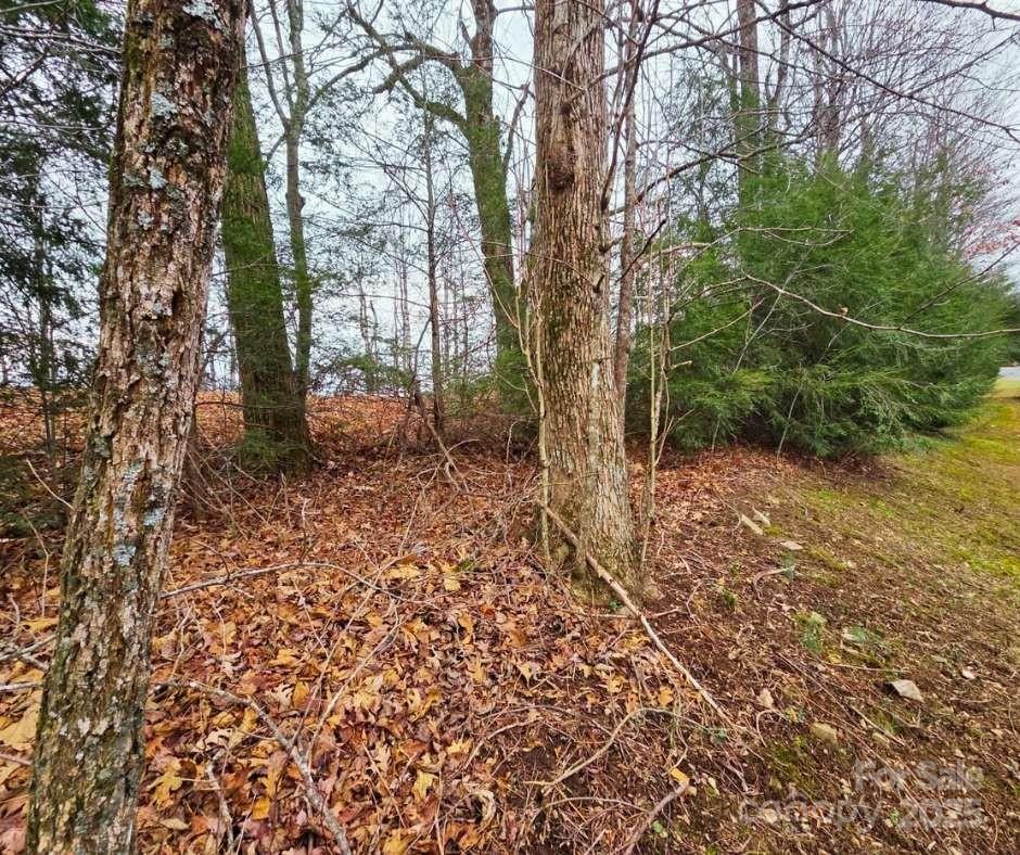 Mountain Brook Estates - Land