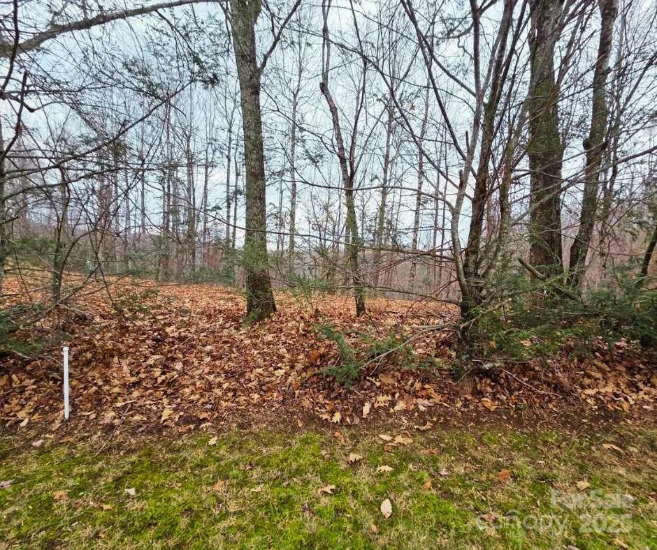 Mountain Brook Estates - Land