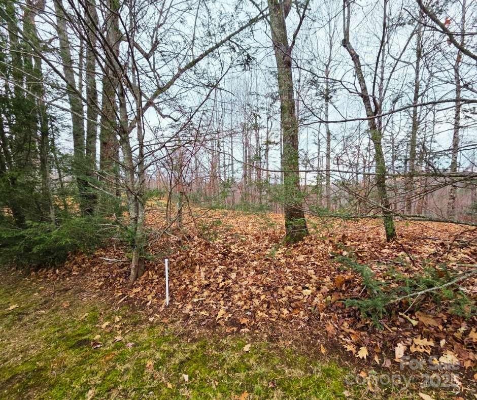 Mountain Brook Estates - Land