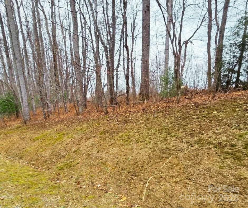 Mountain Brook Estates - Land