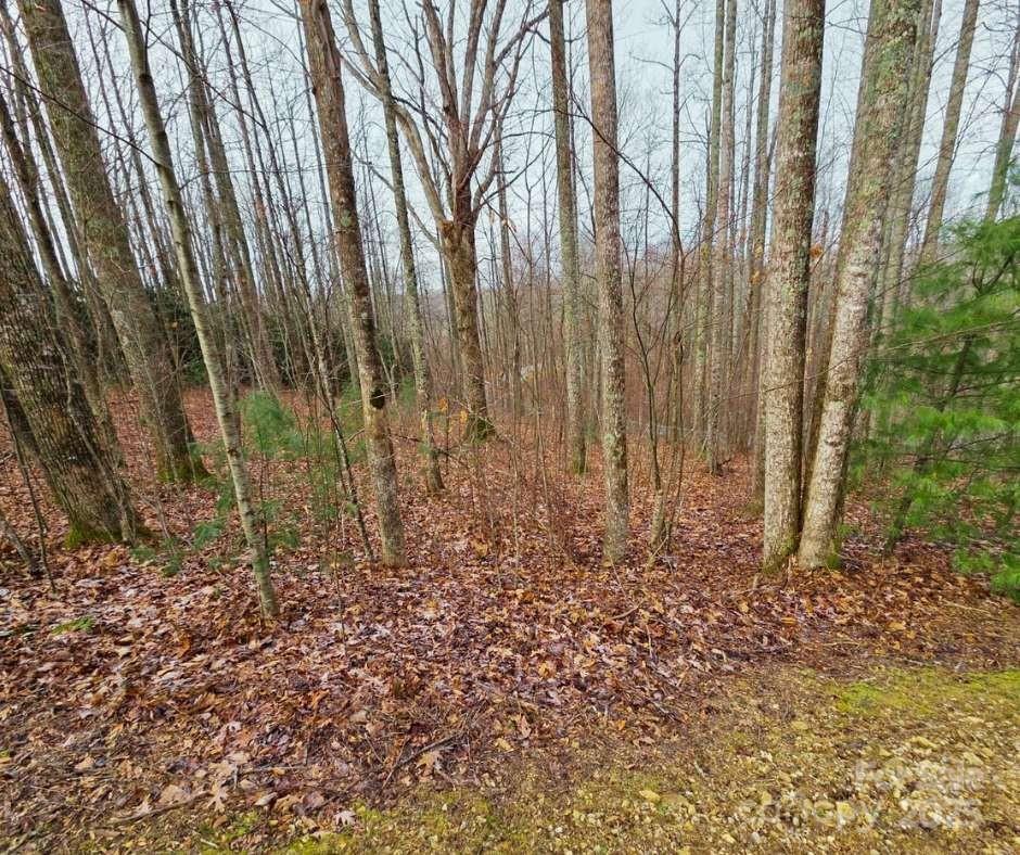 Mountain Brook Estates - Land