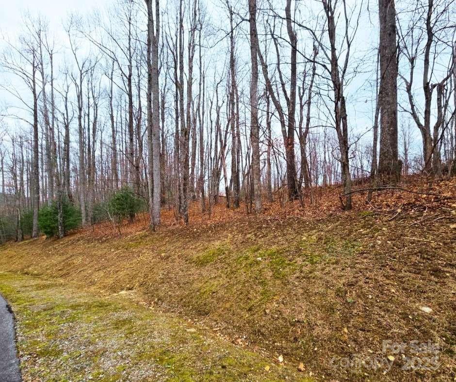 Mountain Brook Estates - Land