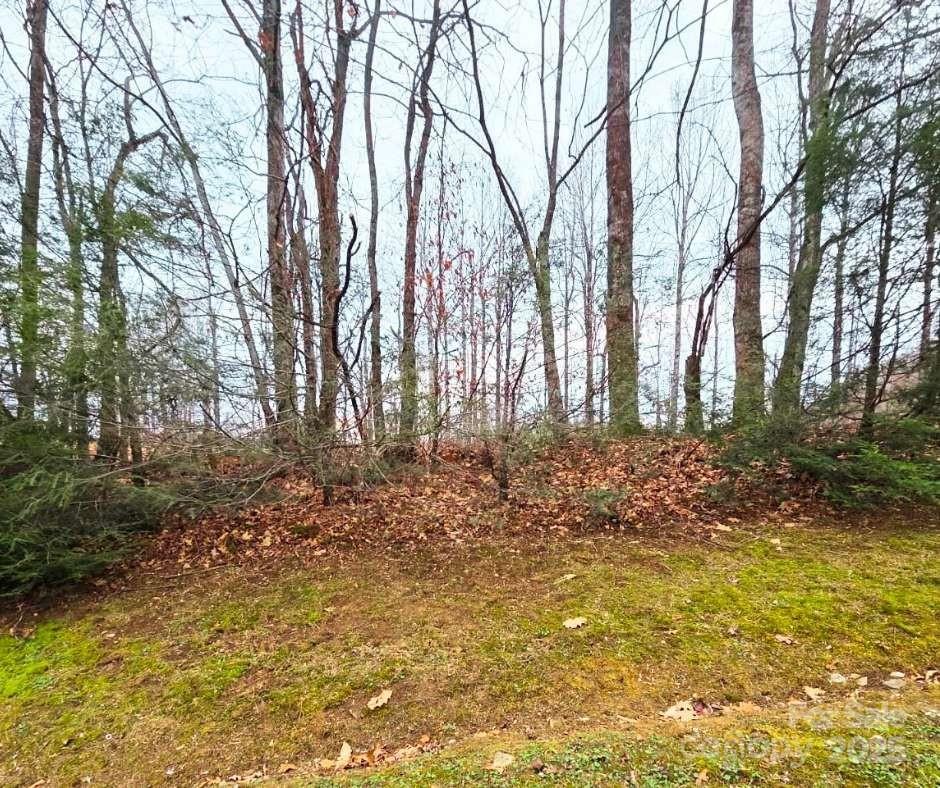 Mountain Brook Estates - Land