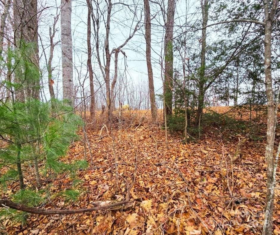 Mountain Brook Estates - Land