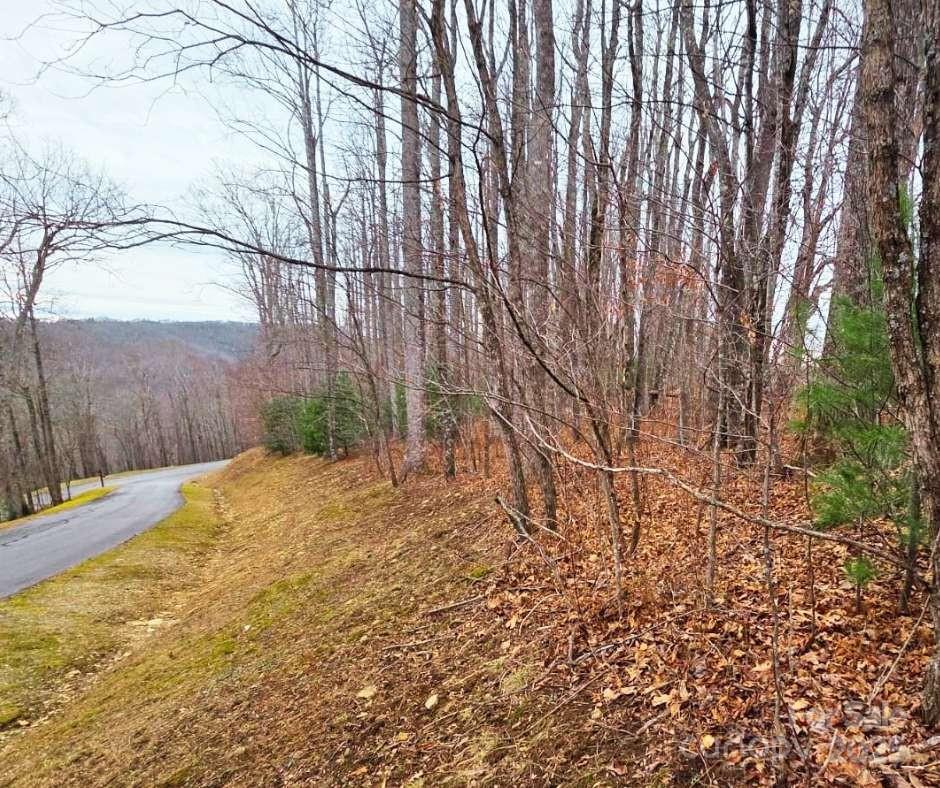 0 Dragonfly Court Lot 3