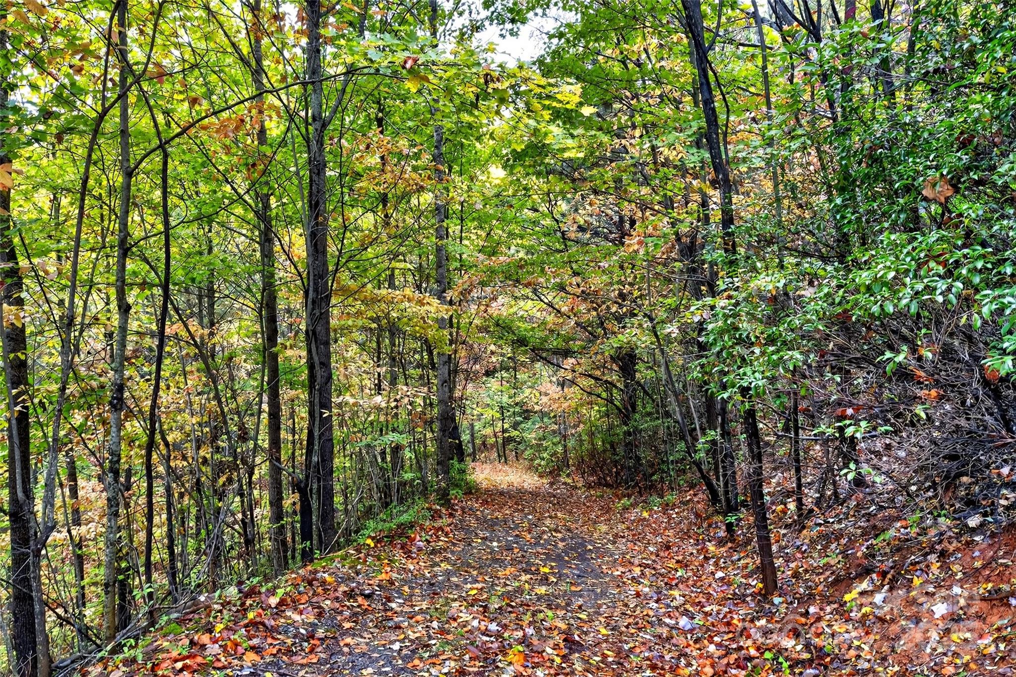 368 Sassafras Drive 726