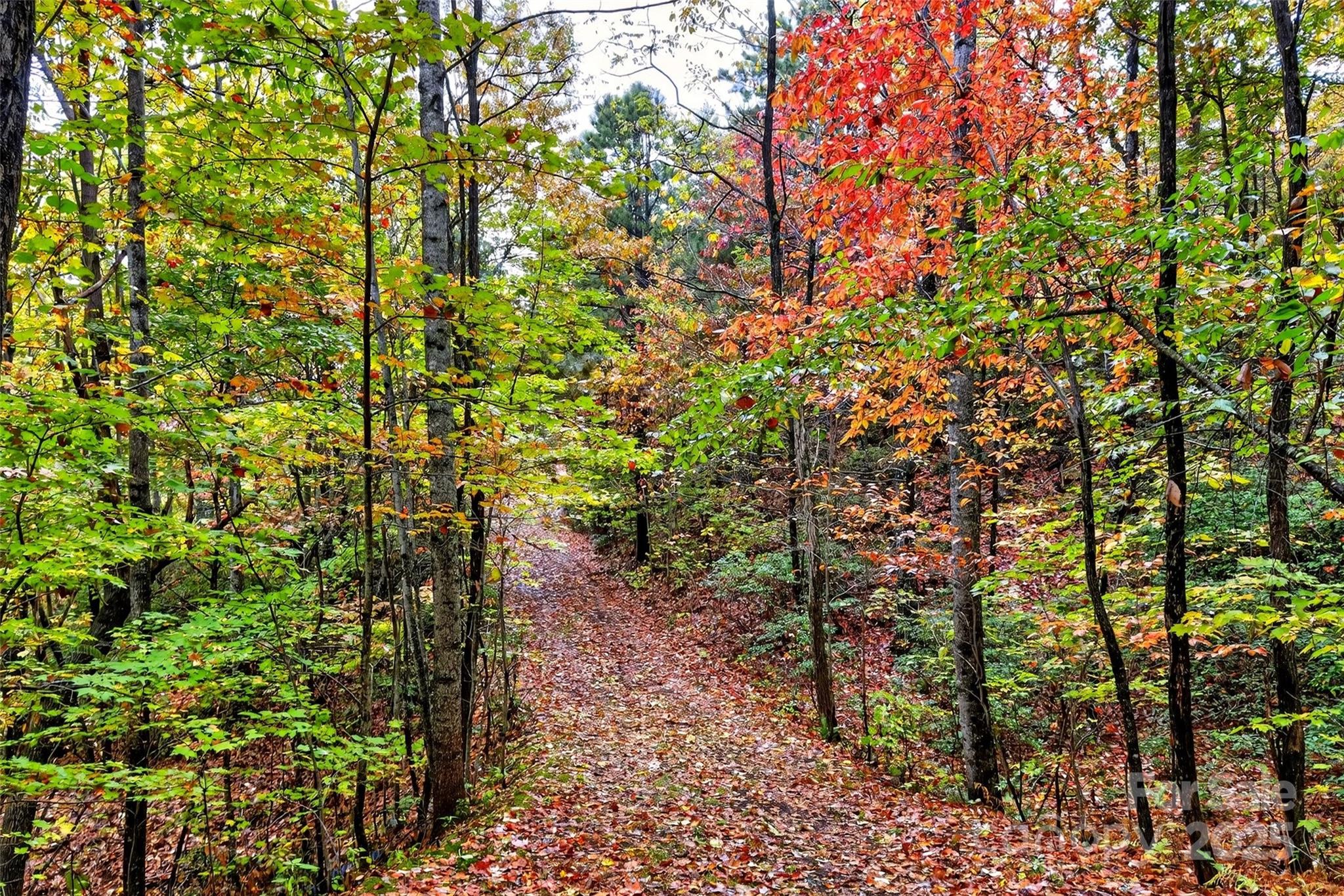 Gateway Mountain - Land