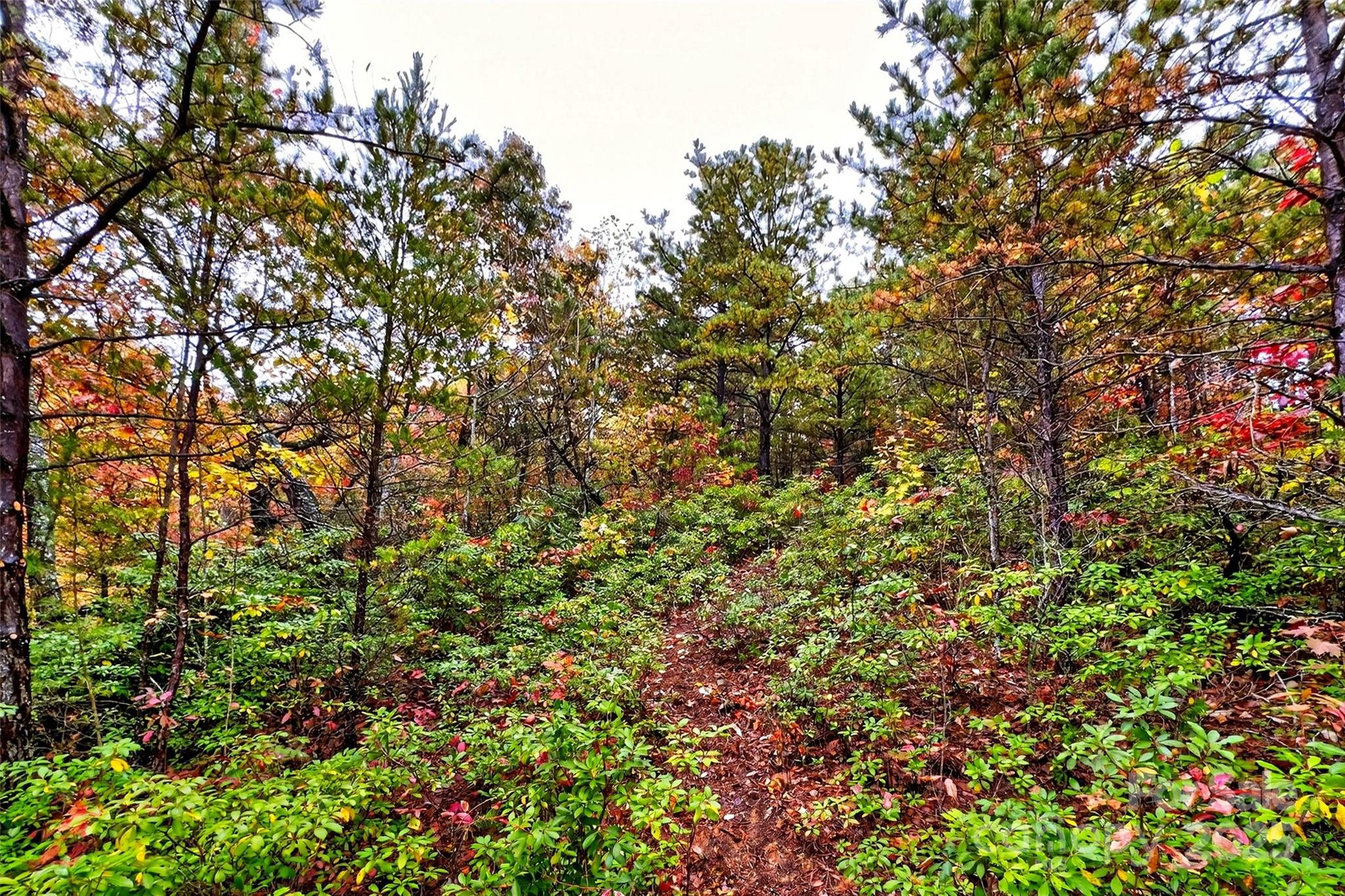 Gateway Mountain - Land