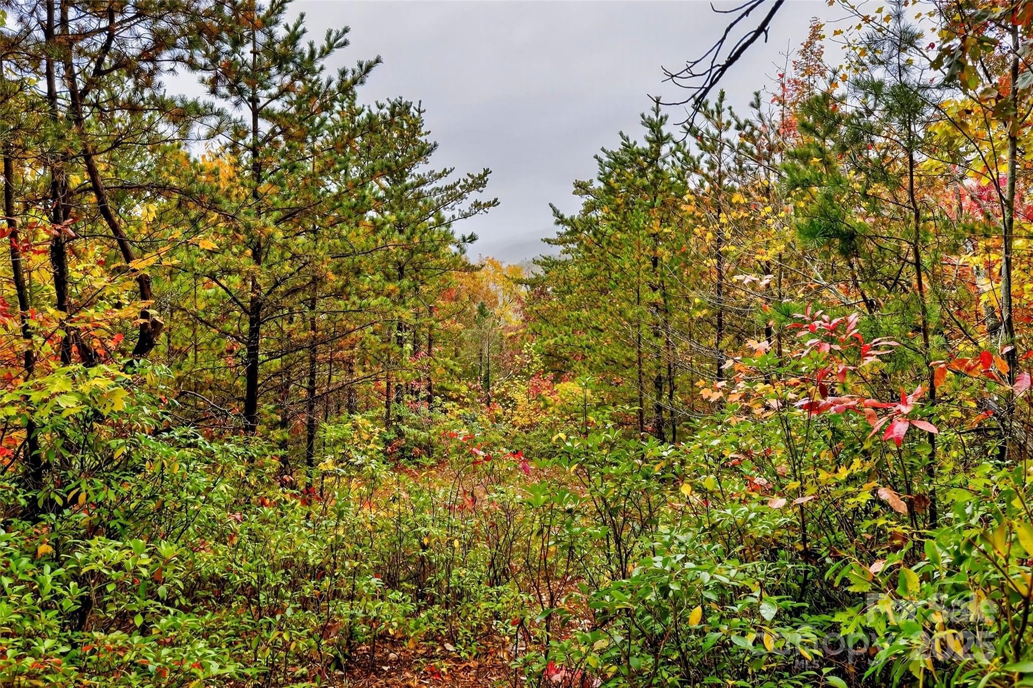 Gateway Mountain - Land