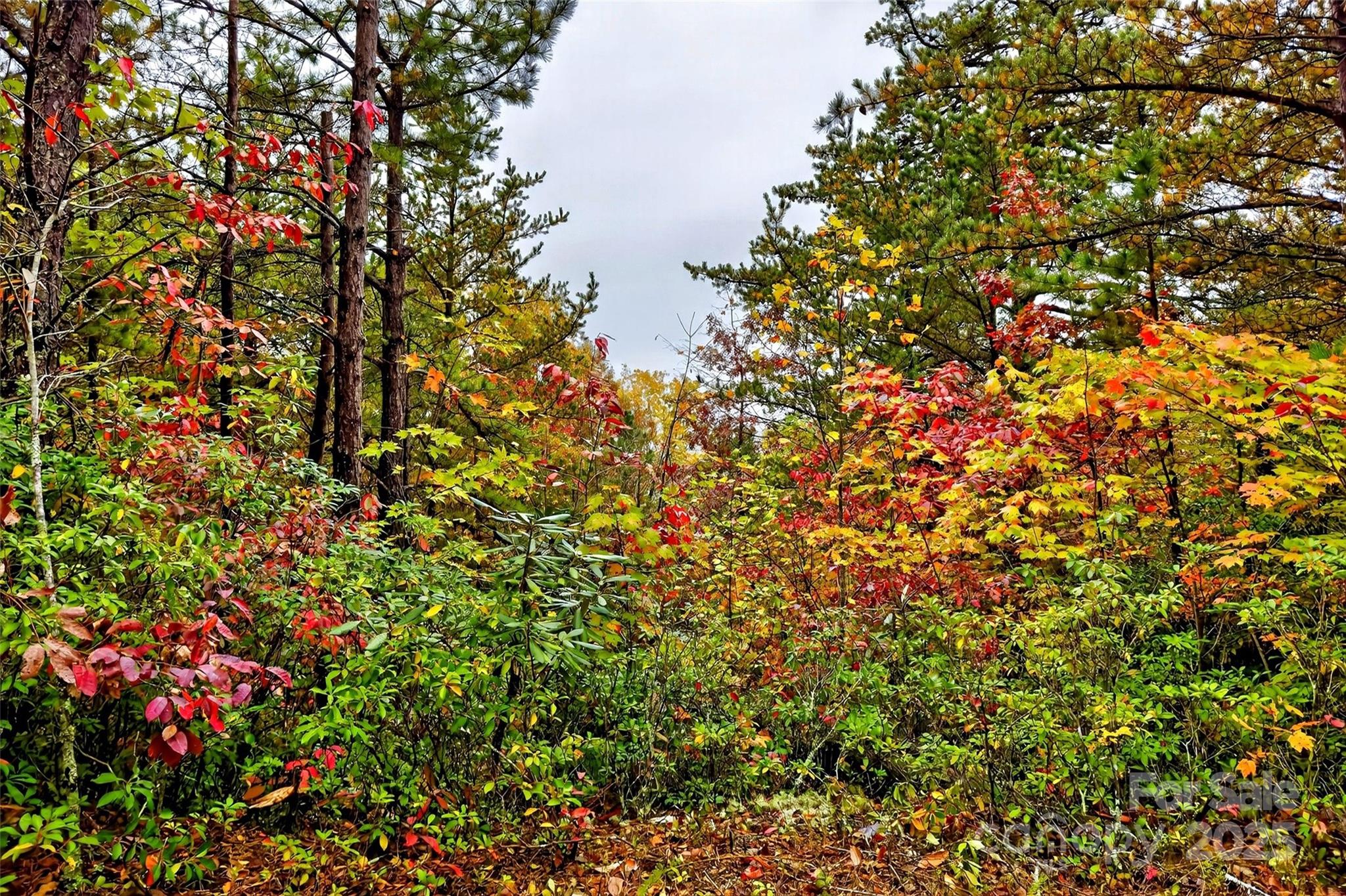 Gateway Mountain - Land