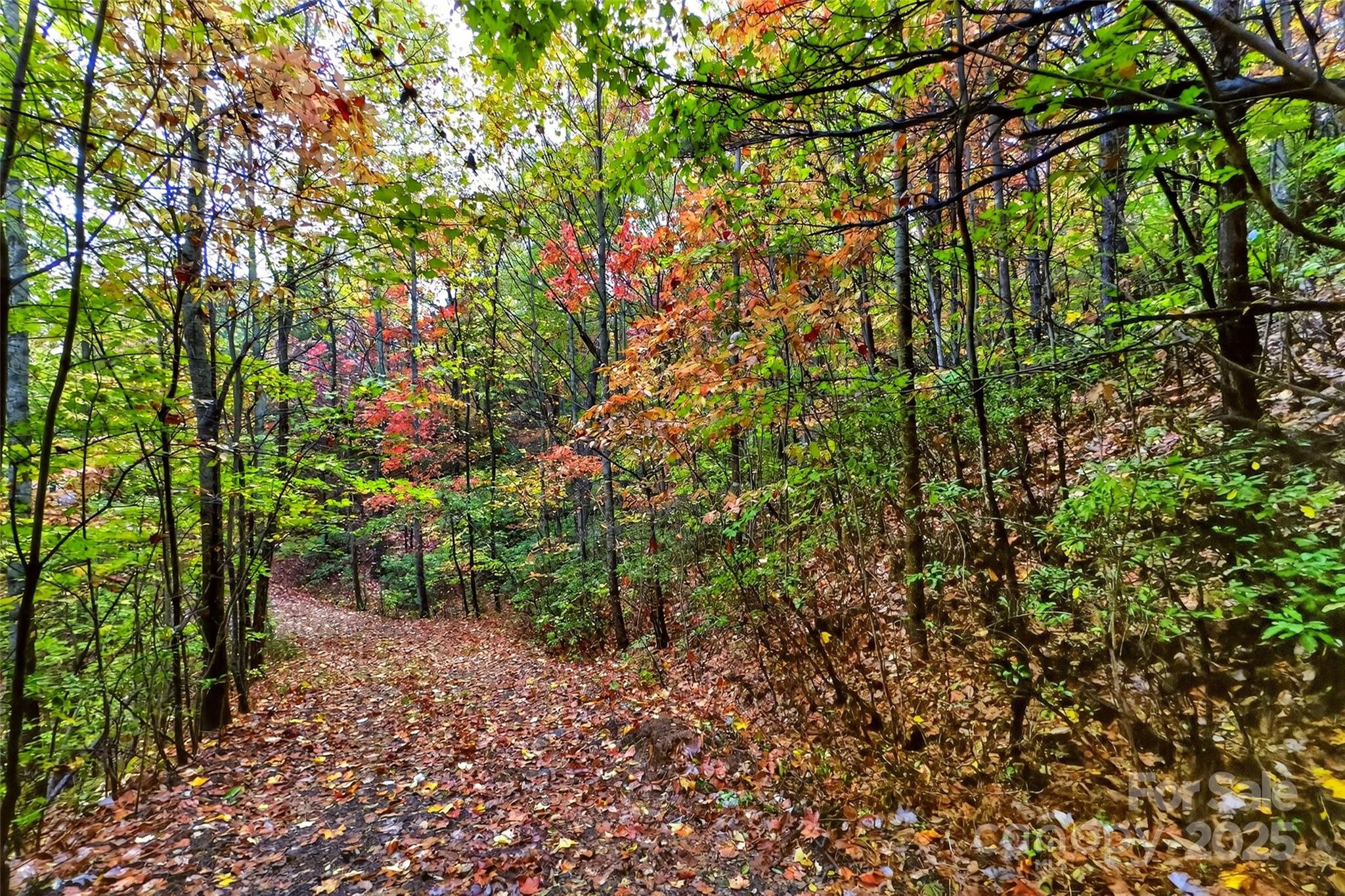 Gateway Mountain - Land