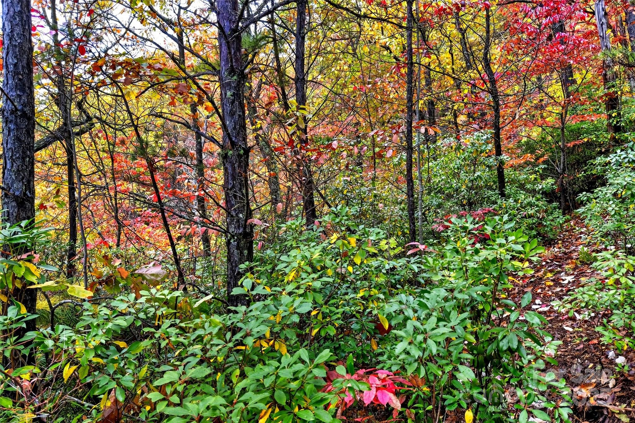 Gateway Mountain - Land