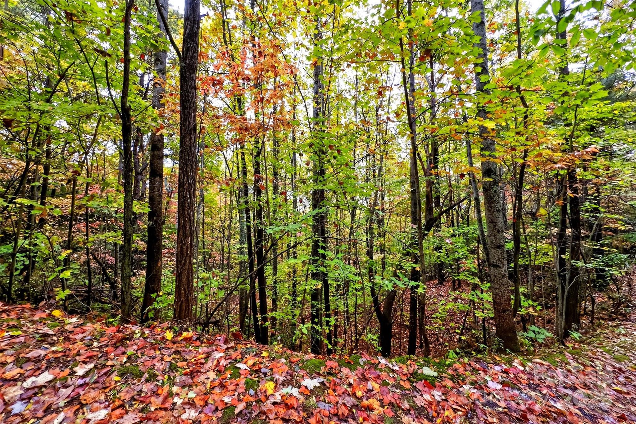 Gateway Mountain - Land