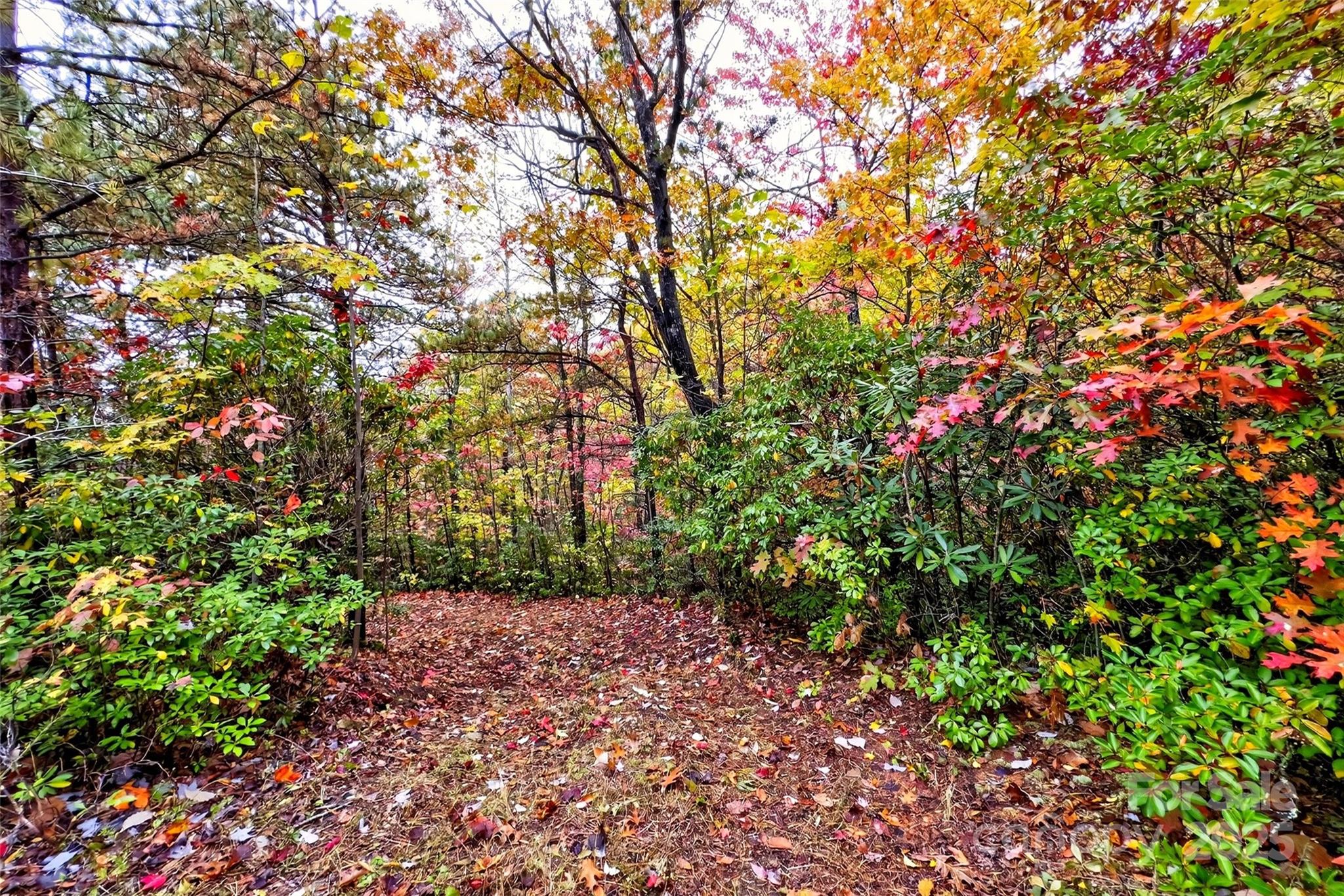 Gateway Mountain - Land