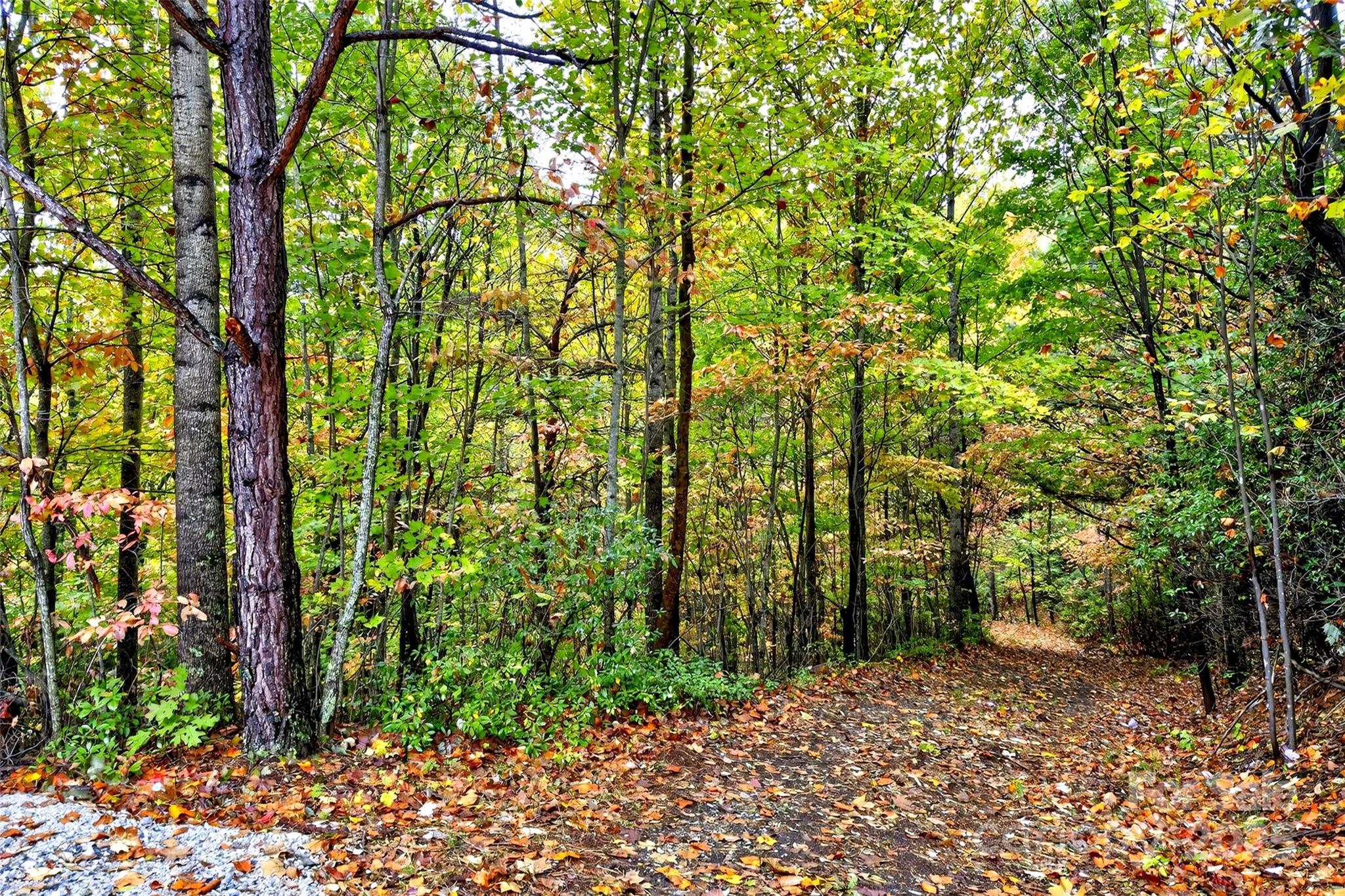 Gateway Mountain - Land