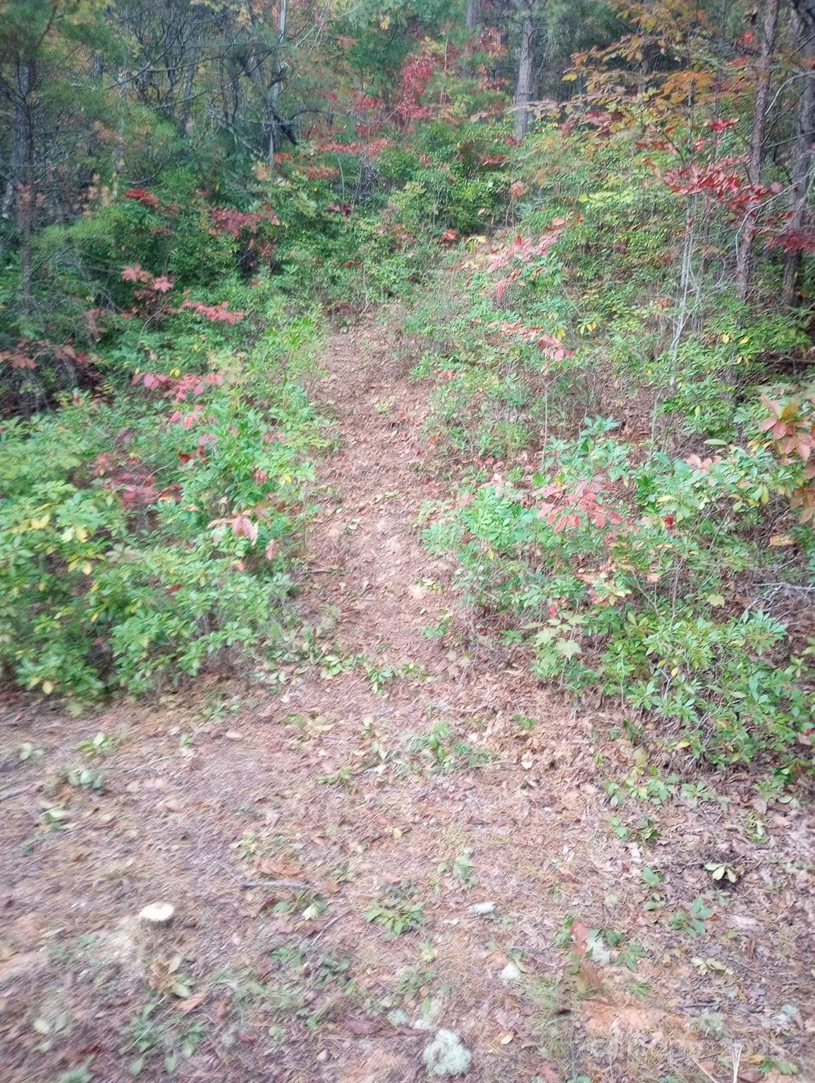 Gateway Mountain - Land