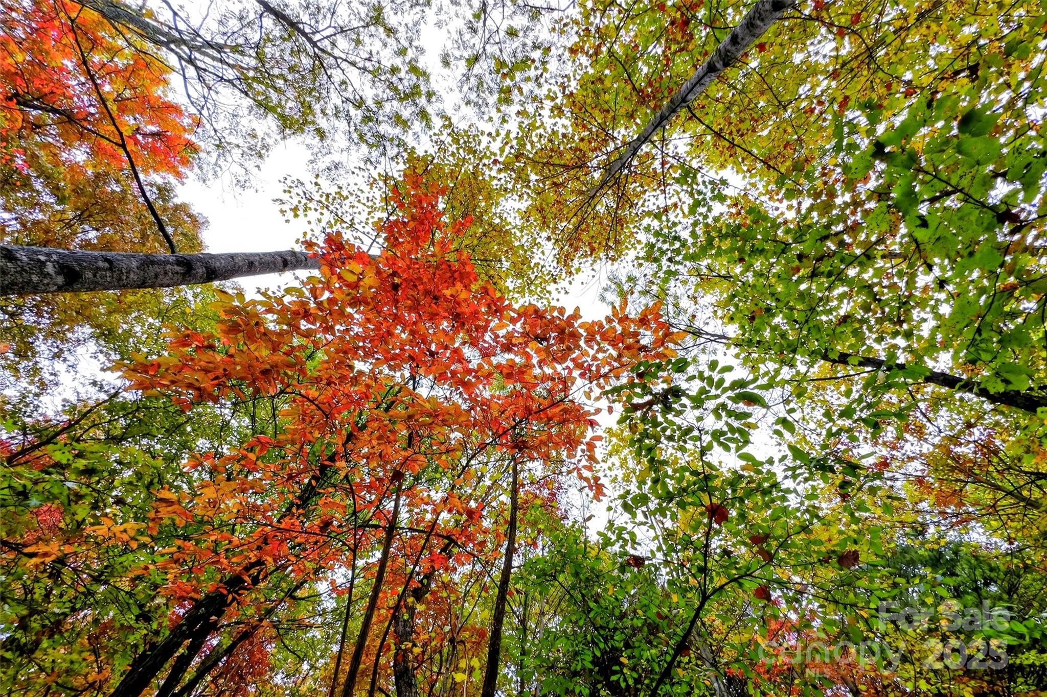 Gateway Mountain - Land