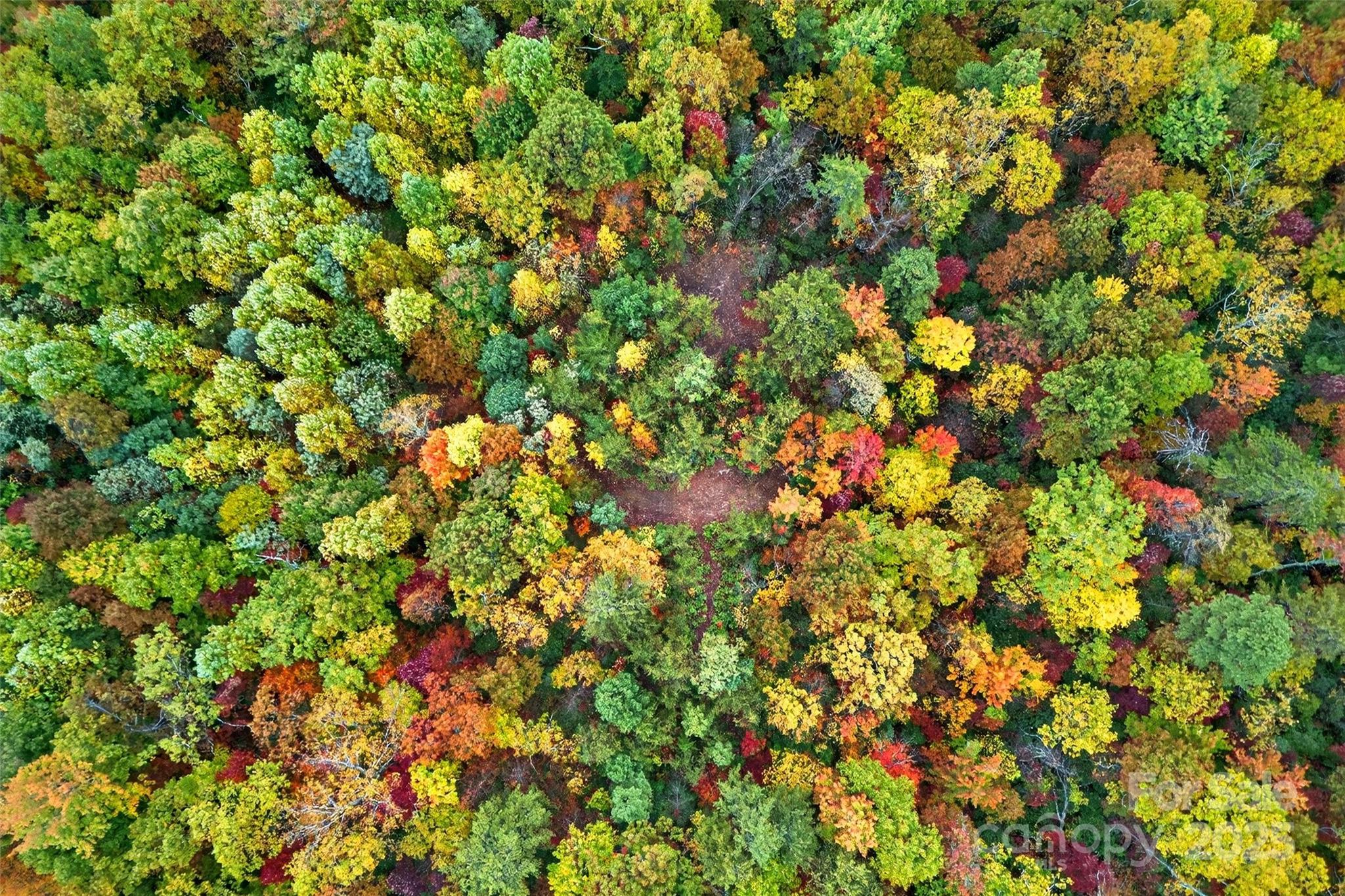 Gateway Mountain - Land