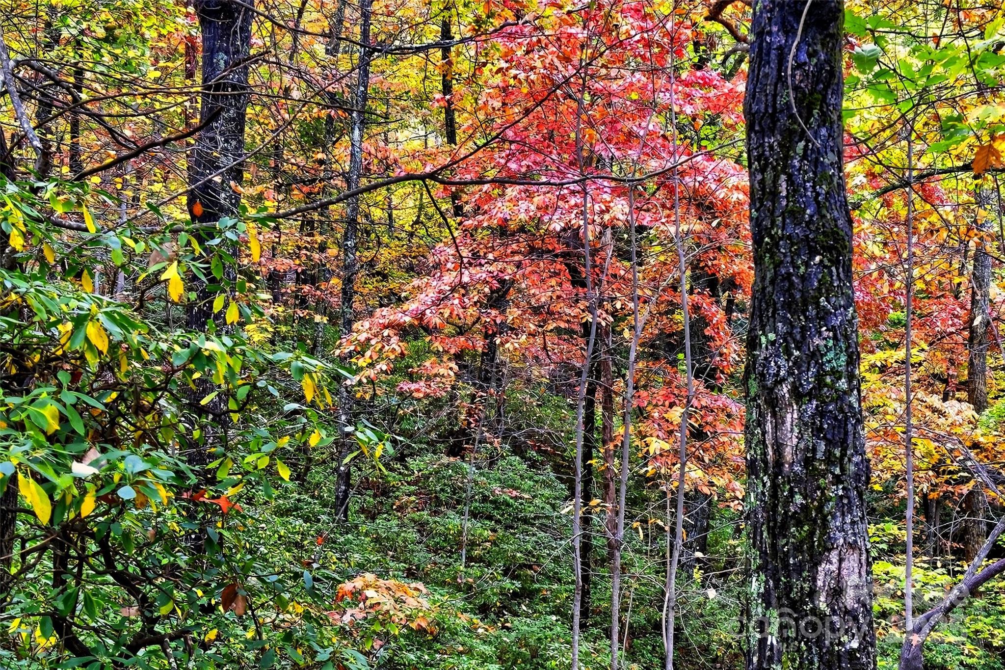 Gateway Mountain - Land