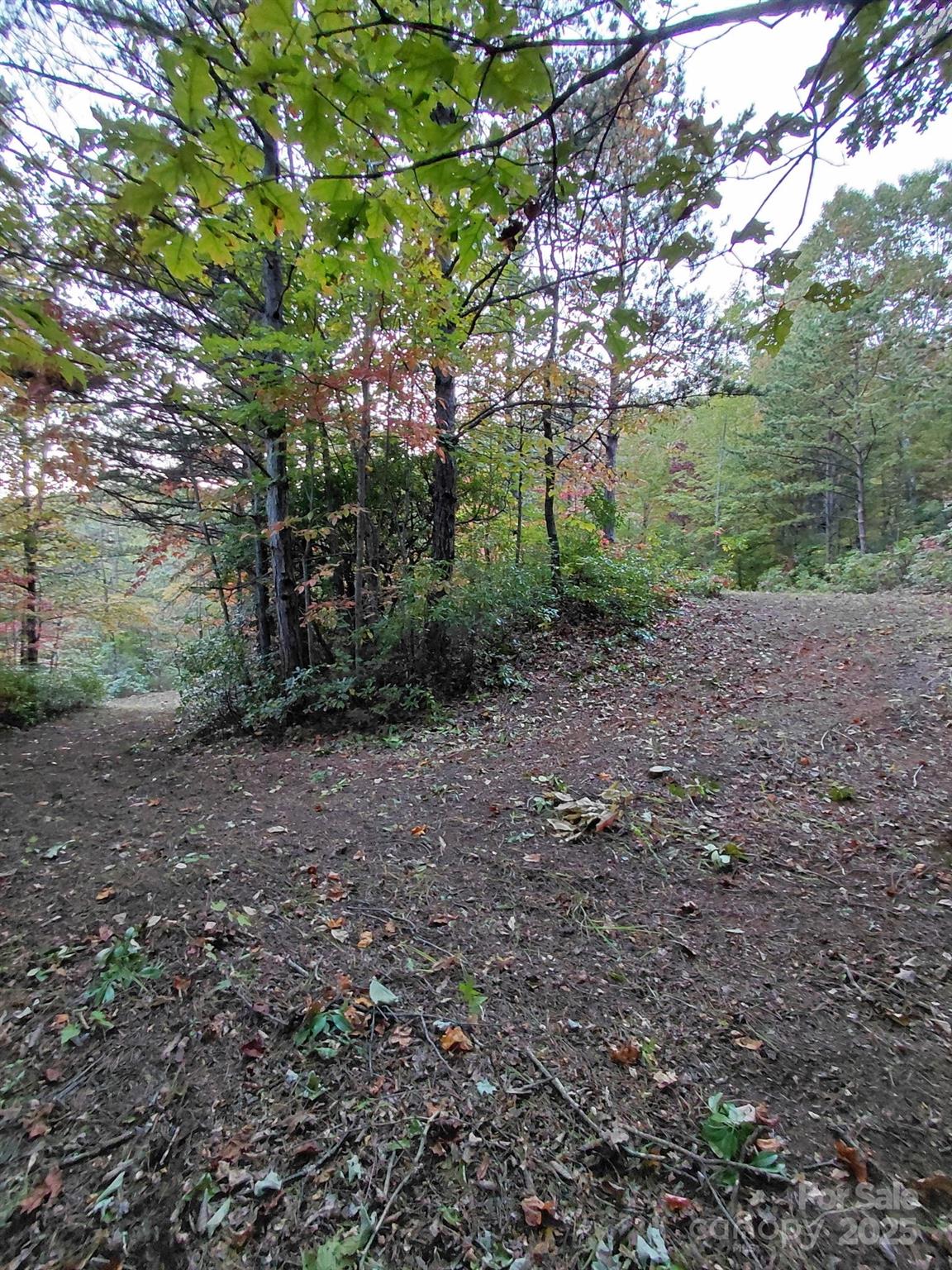 Gateway Mountain - Land