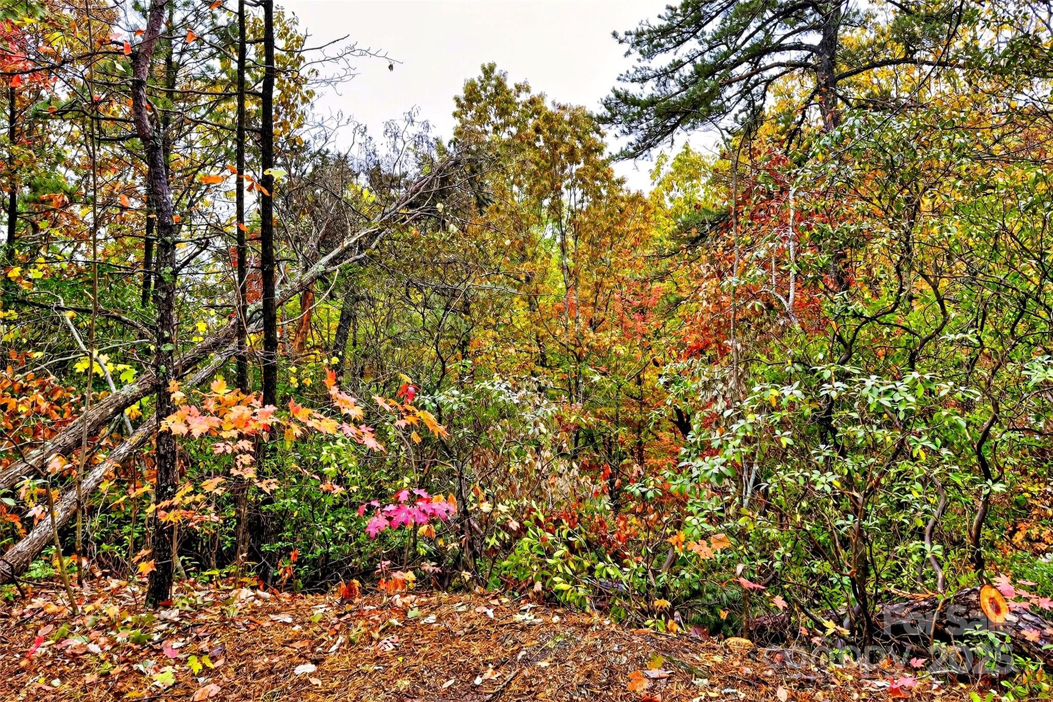 Gateway Mountain - Land