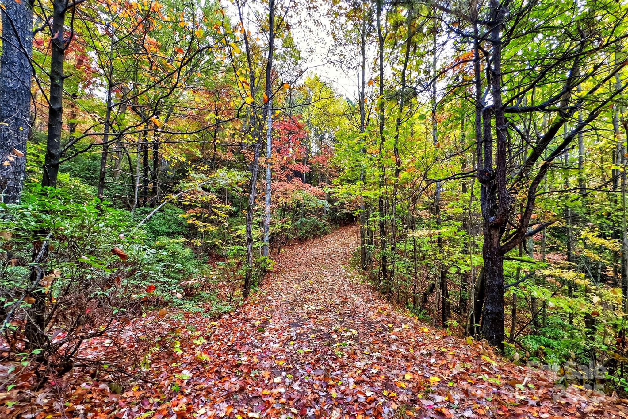 Gateway Mountain - Land
