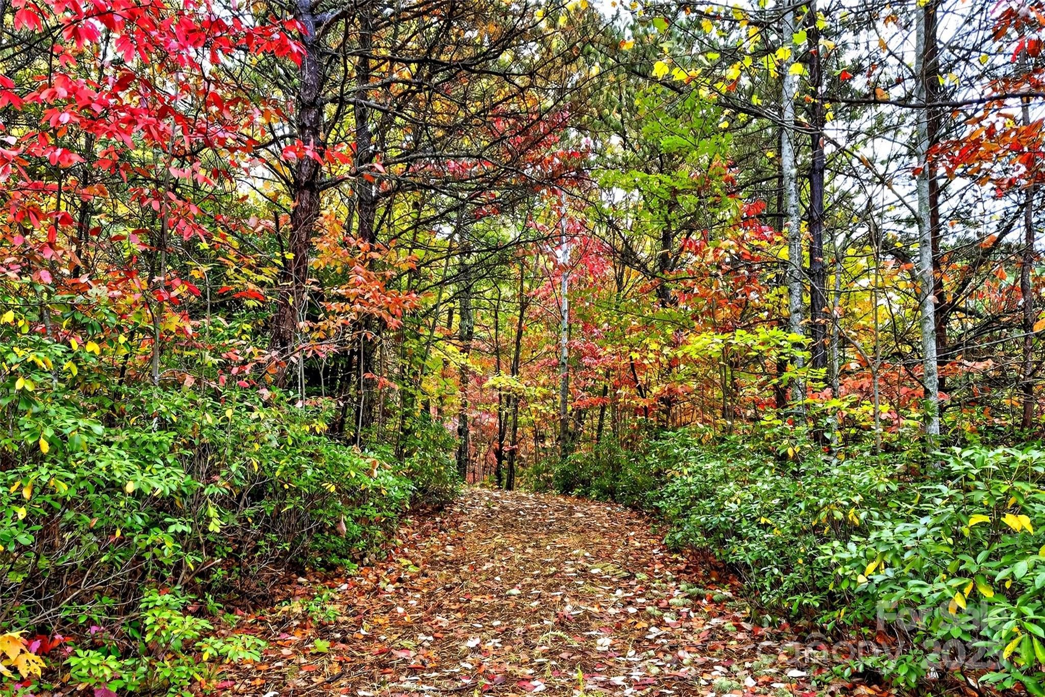 Gateway Mountain - Land