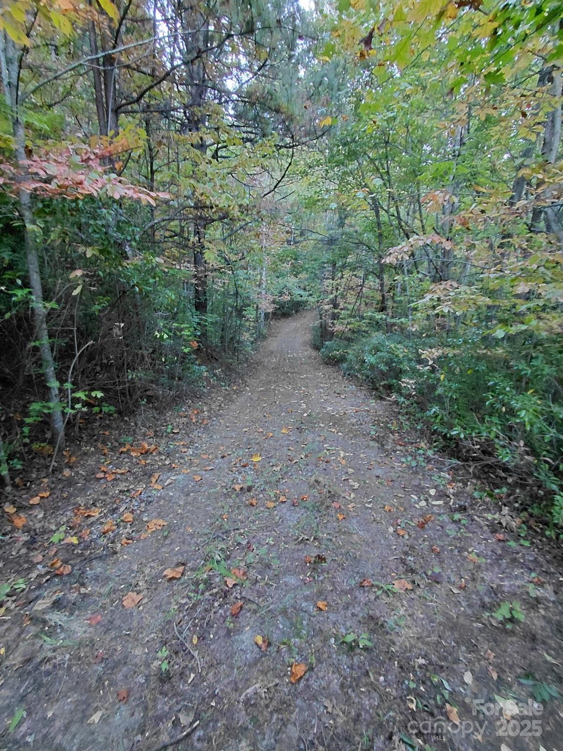 Gateway Mountain - Land