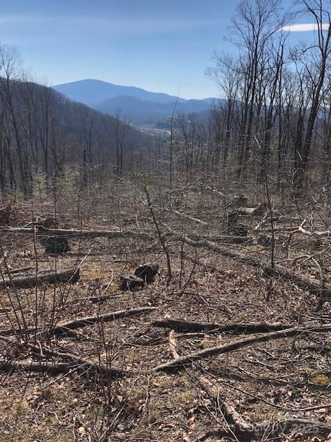 000 Butler Ridge Trail 27