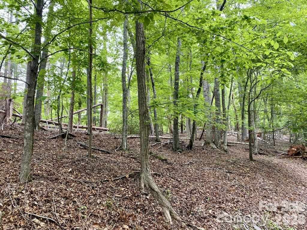 Lot 30 Granny Smith Lane